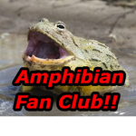 Amphibian Fan Group!
