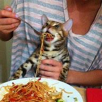 PASTA REIGNS SUPREME