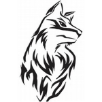 TheDarkWolves