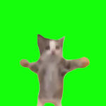 わほーわほー