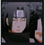 Only the one that like anime