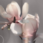 floirette