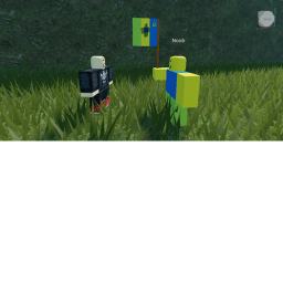 capture the flag battle