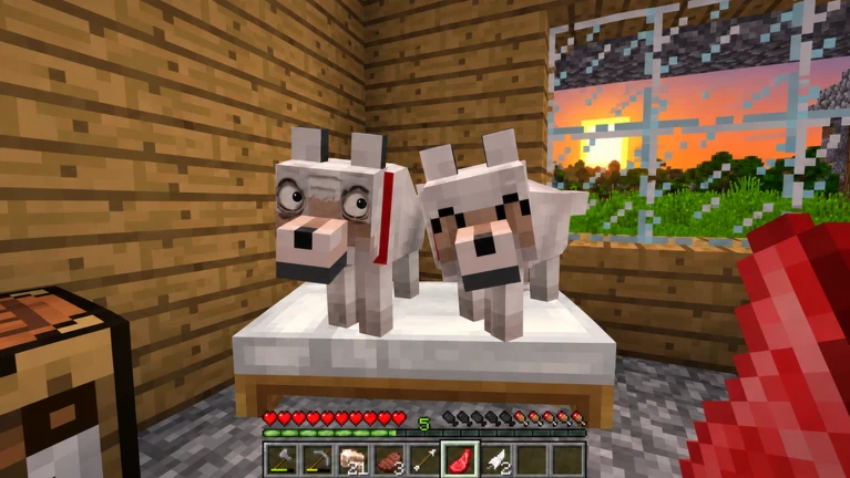 Something is Wrong With My Dog...