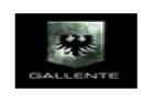 Gallente Federation Military