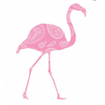 Flamingos fan group 2