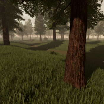 ⋙ Sunshine Forest ⋘