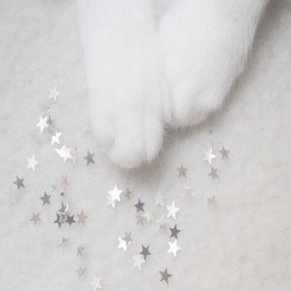 aesthetic-cat- Roblox decal