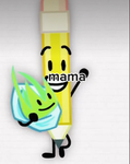 bfb/bfdi/tpot group