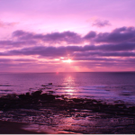 Purpłe