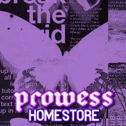 prøwess homestore