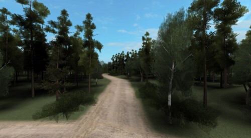 Raccoon simulator (Realease)
