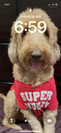 Pls donate group buddy’s