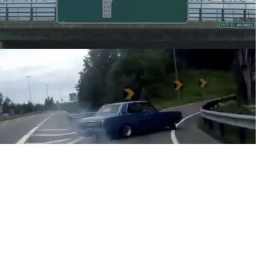 Meme Race