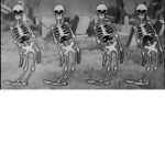the spooky skeleton squad