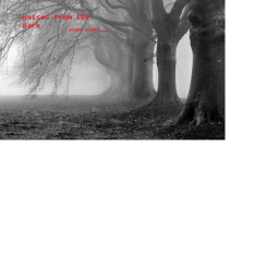 noises from the dark
