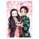 The Demon and Demon Slayer Protection Organization