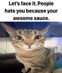 THE AWESOME SAUCE GROUP!!!!