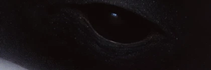 Big Big Secret Roblox group icon