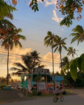 - aloha island -