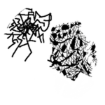 Chollapse