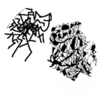 chollapse