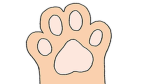 Animal Catchers Inc Developers