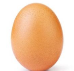 Egg vs grippy war