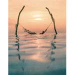 alohax