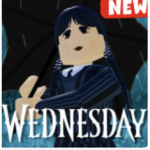 Wednesday experience