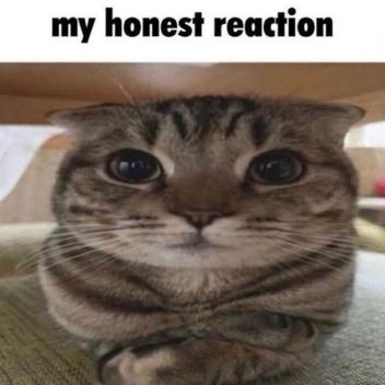 i've got nothing.