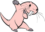 Pink_Pink