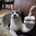 Jose consideração :-)
