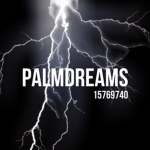 palmdreams