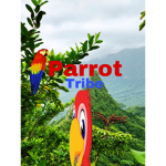 Parrot Tribe