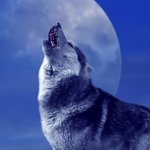 le gang des loups 5