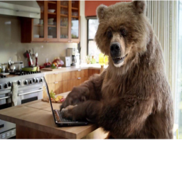Bears Planning Area