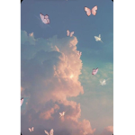aesthetic sunshiins