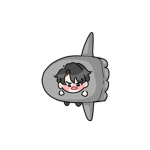 kimcom