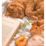 Chilling With Fluffy Kitties