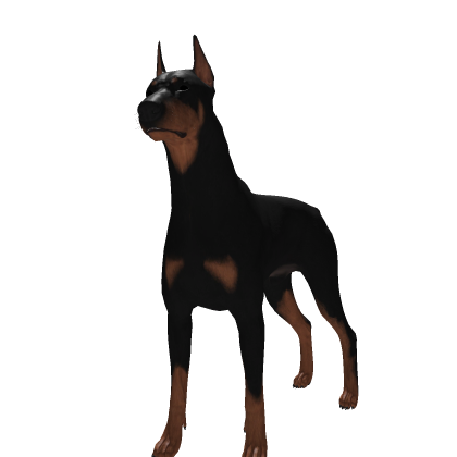 Doberman