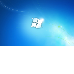 Microsoft Fight