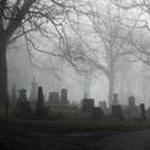 American Vamp's