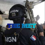THE MET (POLICE DE PROJECT BRONX)