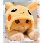 Ganhe robux :3