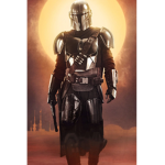 BOUNTY HUNTER OR MANDALORIAN