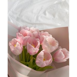 May.blossom home store