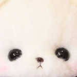 - | Lovely Avatar Ranking | -