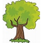Seed and
