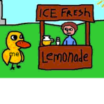 Ducks are cool